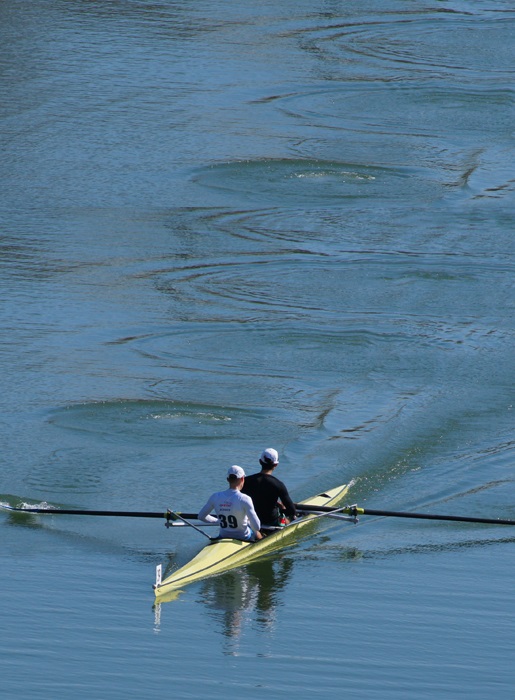 Pratiquer de l'aviron à Mulhouse