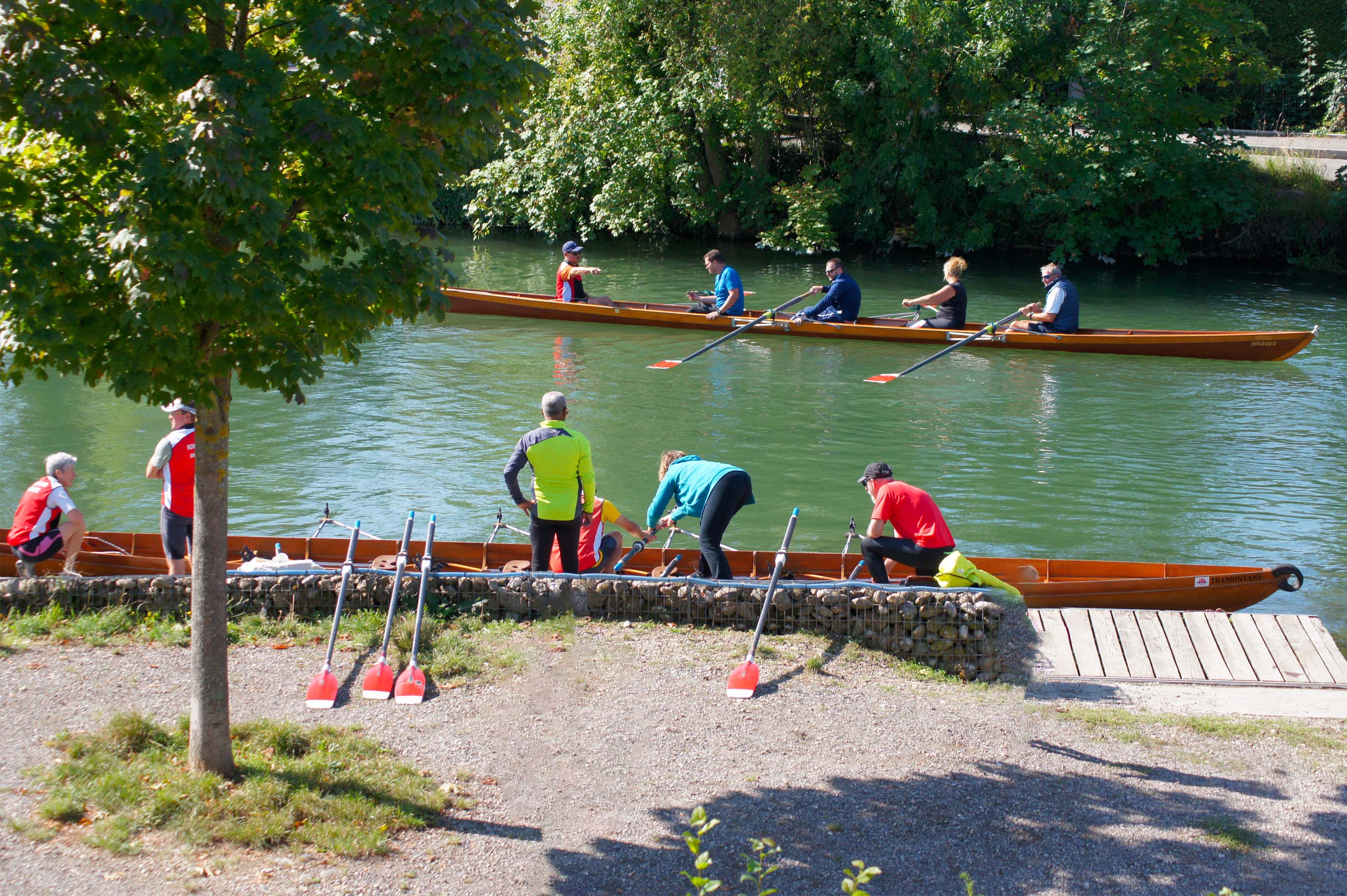 Les activités proposées pour un séminaire d'entreprise au club d'aviron de mulhouse